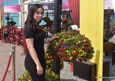 Machteld Wijngaard, marketing & communicatie specialist bij Florensis International, bij hun Cabaret Tropicana MixMasters. De Cabaret serie werd groots gepresenteerd, omdat het terug was met nieuwe genetica wat resulteerde in grote bloem, sterkere kleuren en een vroegere bloei. Ook werd er bij Florensis ingezet op bijvriendelijke planten.